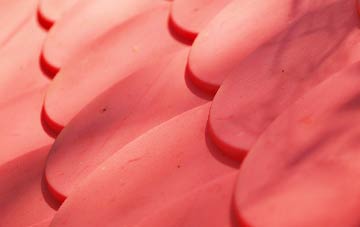 Frog End plastic roof costs