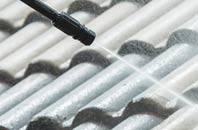 rated Frog End roof cleaning companies